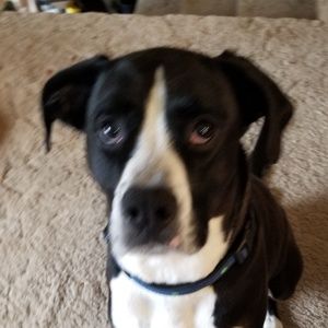 Meet your Posher, Ellen